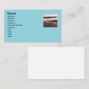 Seagull in Flight Business Cards Visitenkarte
