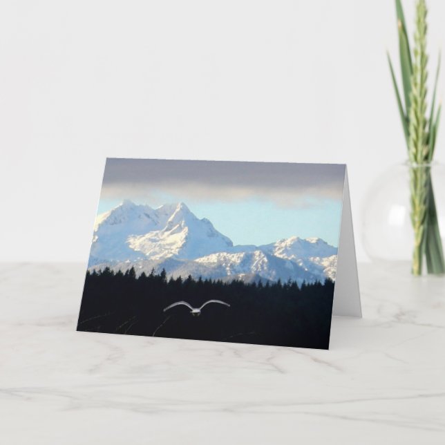 Seagull in Flight, olympische Berge aus Silverda Karte (Vorderseite)