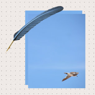 Seagull in Flight Sky Blue