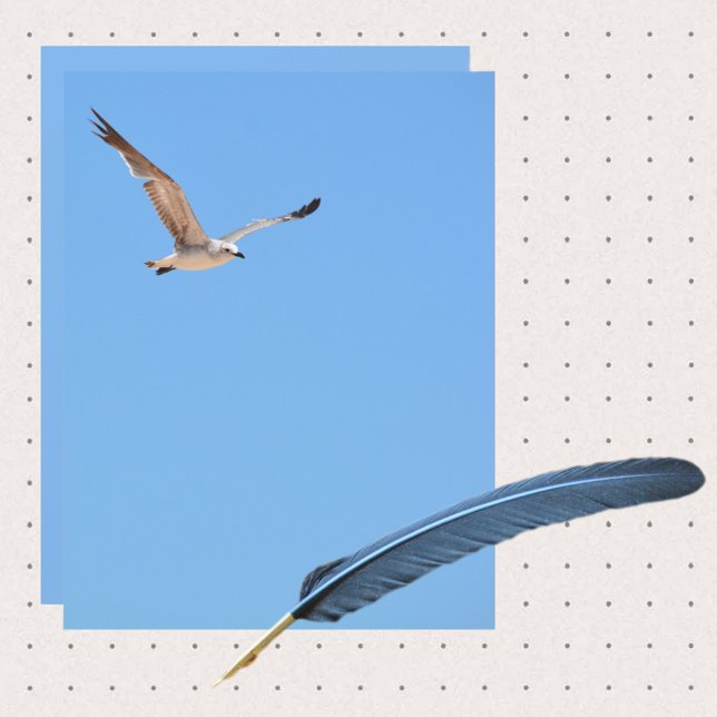 Seagull in Flight Sky Blue Coast Paper Sheet (Von Creator hochgeladen)