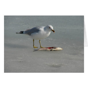 Seagull isst Fisch