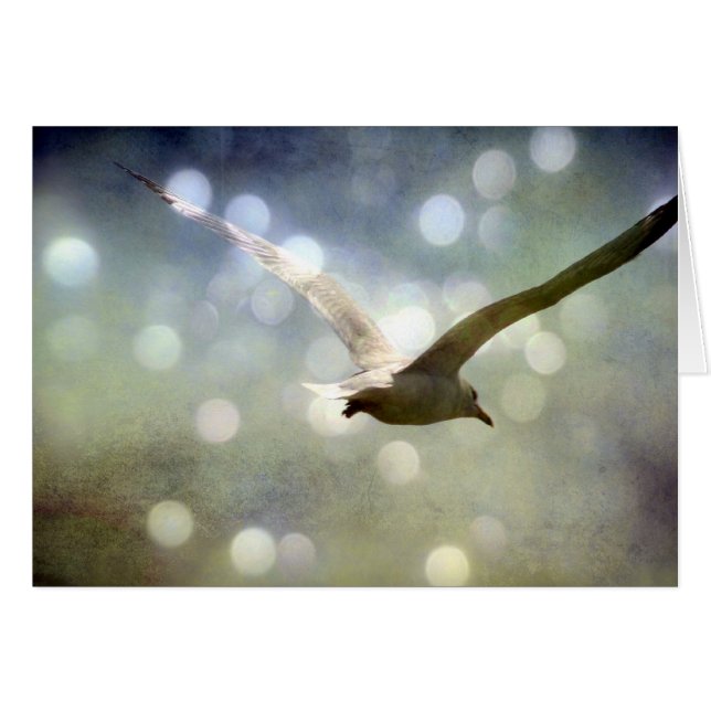 Seagull-Jeden Anlaß-Karte (Vorderseite (Horizontal))