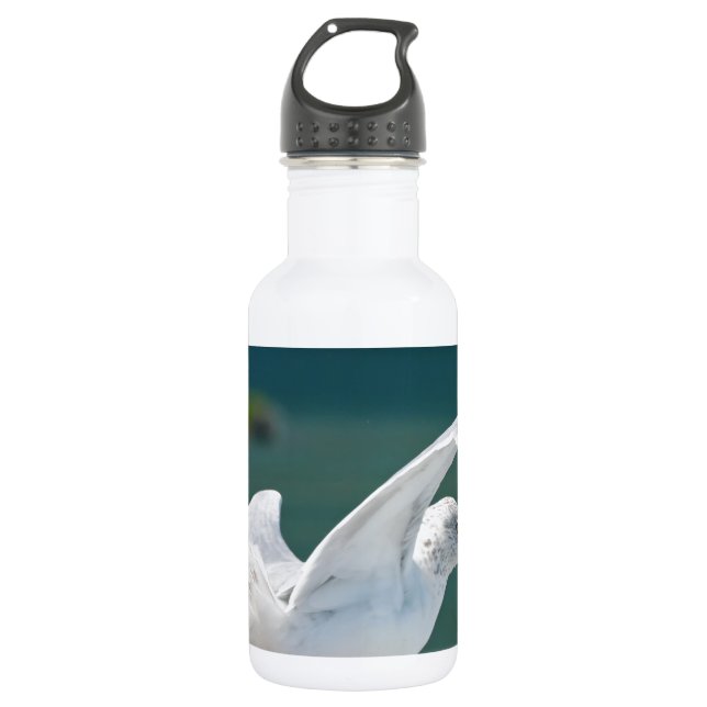 Seagull.JPG Edelstahlflasche (Vorderseite)