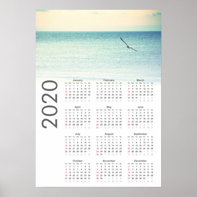 Seagull-Kalender 2020-Poster Poster (Vorne)