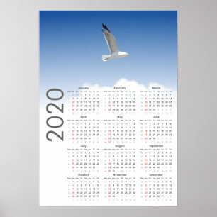 Seagull-Kalender 2020-Poster Poster