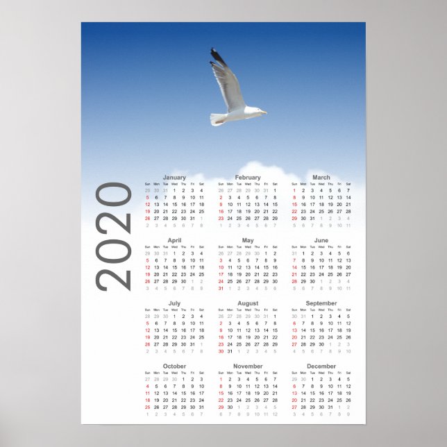 Seagull-Kalender 2020-Poster Poster (Vorne)