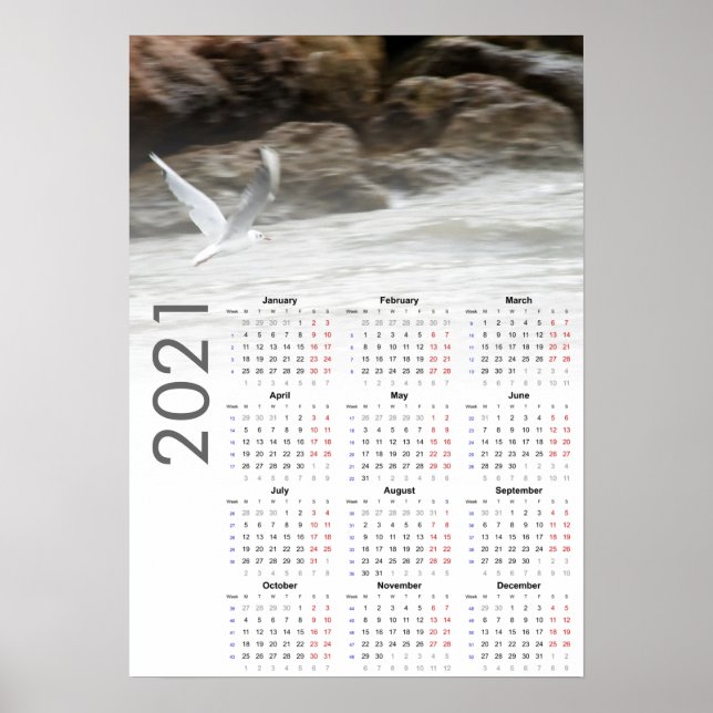 Seagull Kalender 2021 Poster - Montag zuerst (Vorne)