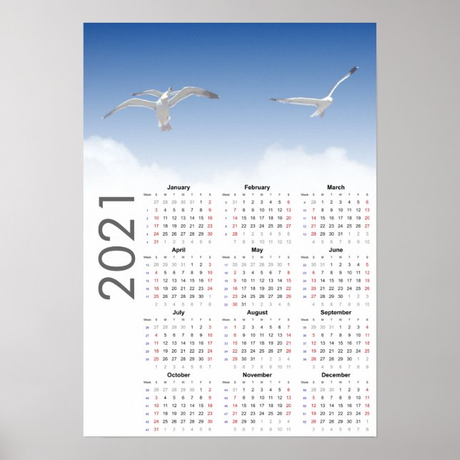 Seagull Kalender 2021 Poster - Sonntag erster (Vorne)
