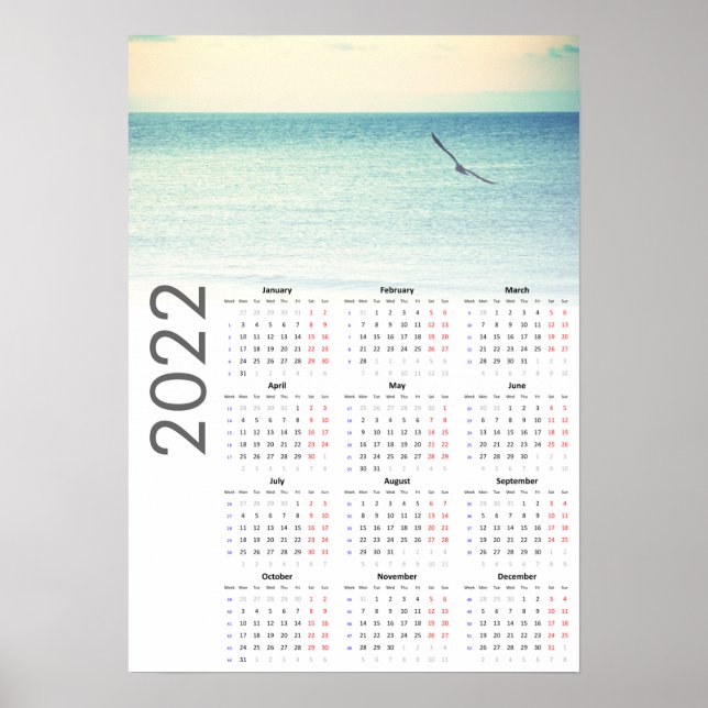 Seagull Kalender 2022 Poster - Montag zuerst (Vorne)