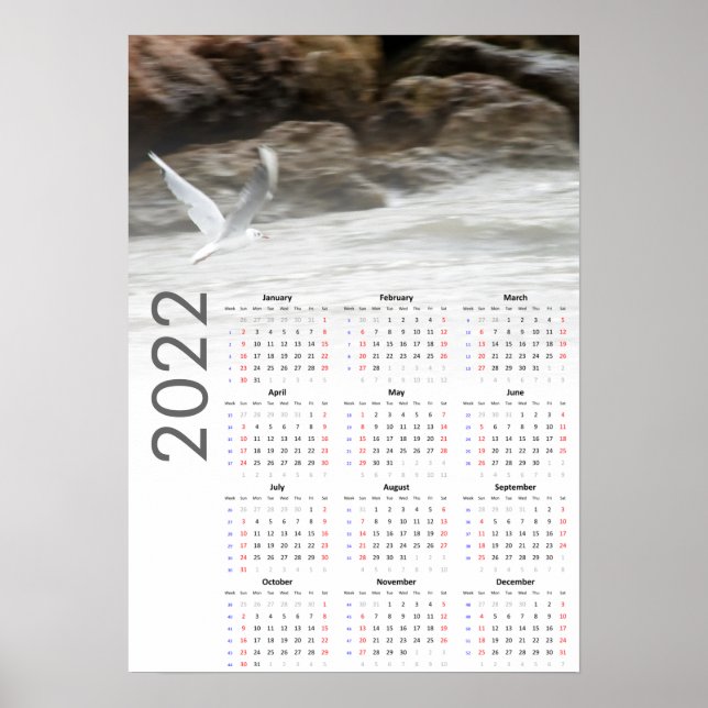 Seagull Kalender 2022 Poster - Sonntag erster (Vorne)