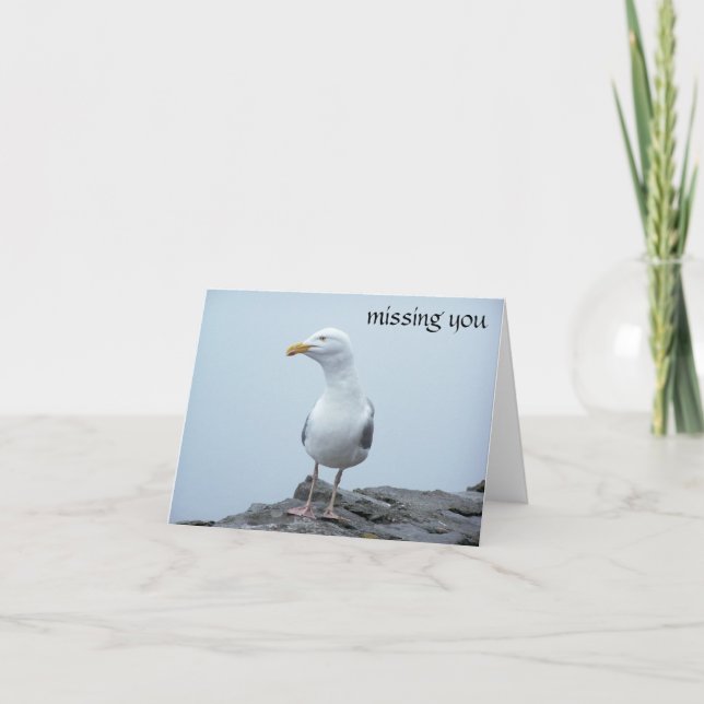 Seagull Karte (Vorderseite)