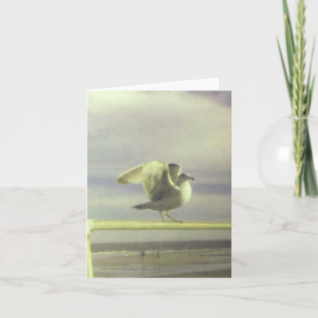 Seagull-Karte Karte (Vorderseite)
