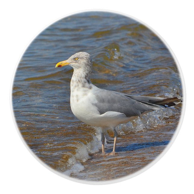 Seagull-Keramik Keramikknauf (Vorderseite)