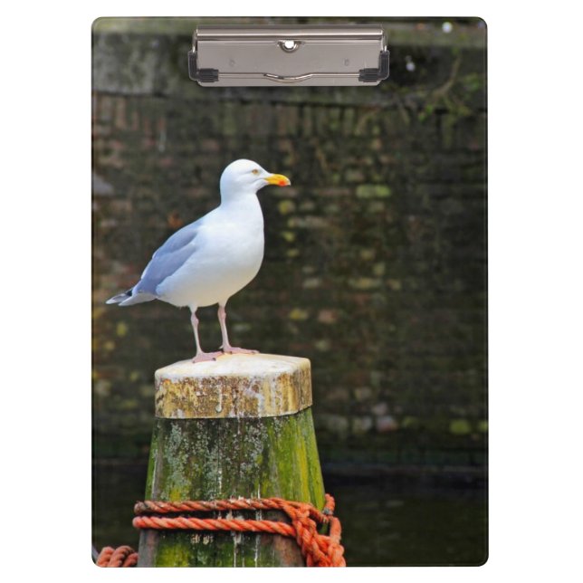 Seagull Klemmbrett (Vorderseite)