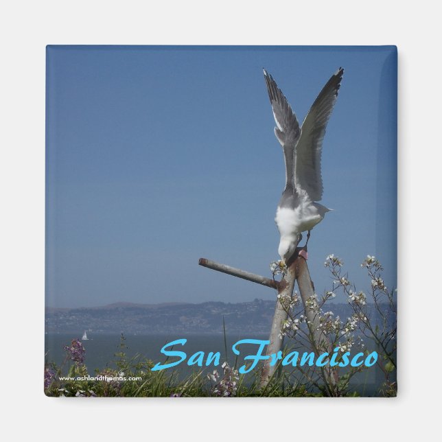 Seagull Magnet (Vorne)