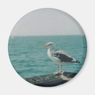 Seagull Magnet
