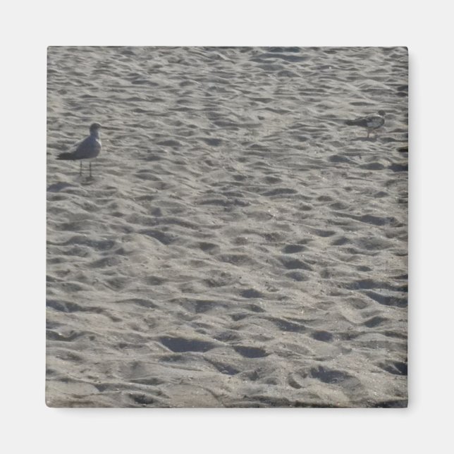 Seagull-Magnete Magnet (Vorne)