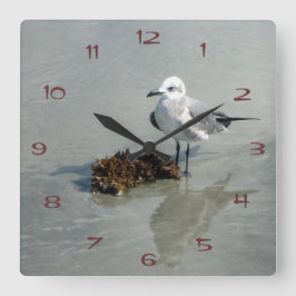 Seagull mit Seetang Quadratische Wanduhr