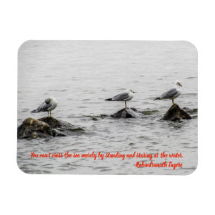 Seagull Motivierend Magnet