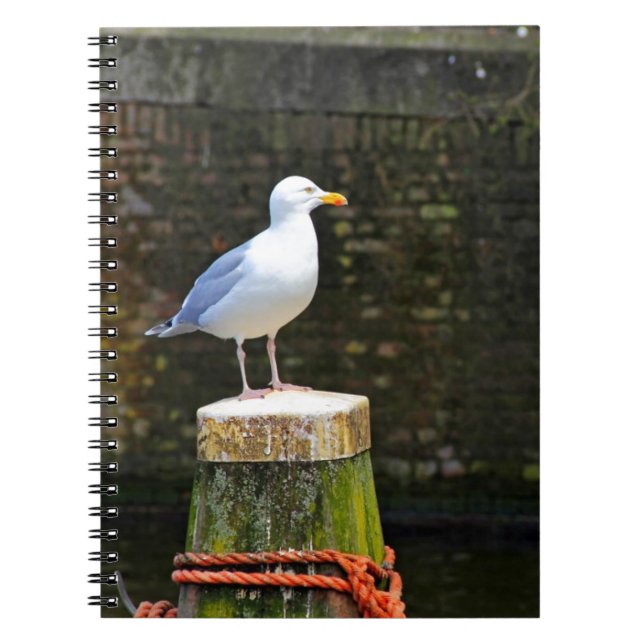 Seagull Notizblock (Vorderseite)