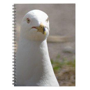 Seagull Notizblock
