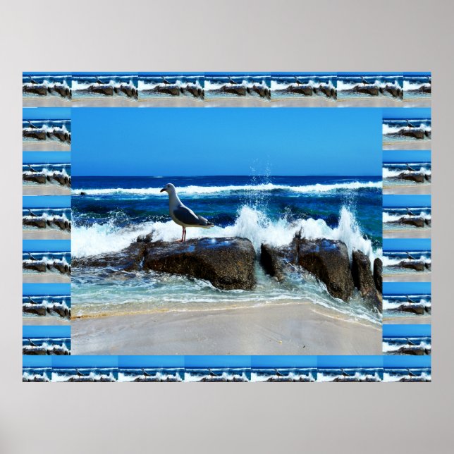 Seagull on Beach Rocks Poster (Vorne)