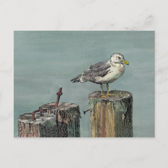SEAGULL on PILING by SHARON SHARPE Postkarte (Vorderseite)