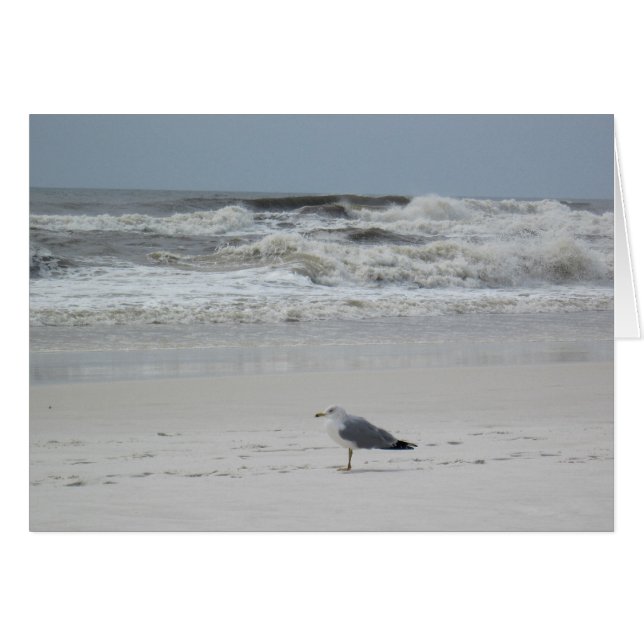 Seagull on the Beach (Vorderseite (Horizontal))