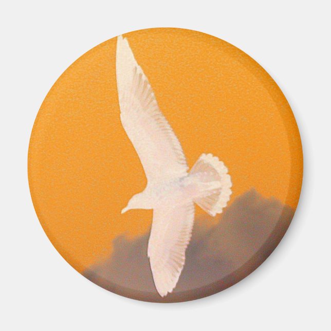 Seagull Orange Magnet (Vorne)
