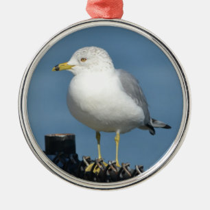 Seagull-Ornament Ornament Aus Metall