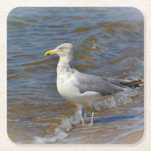 Seagull Party Untersetzer