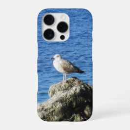 Seagull Phone Case iPhone 16 Pro Hülle