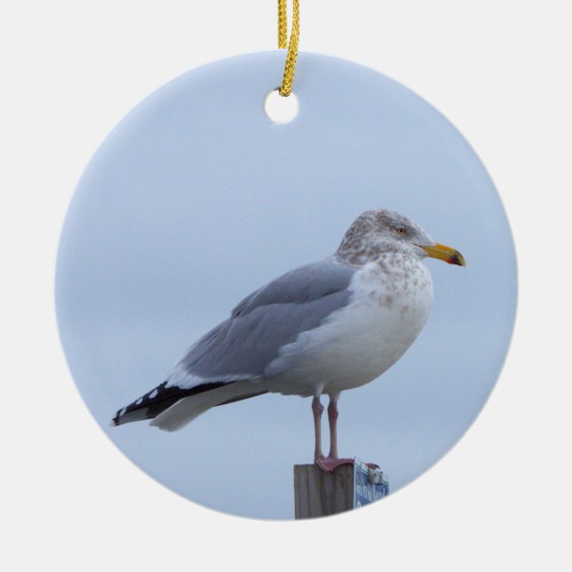 Seagull Photo Ornament  (Vorne)