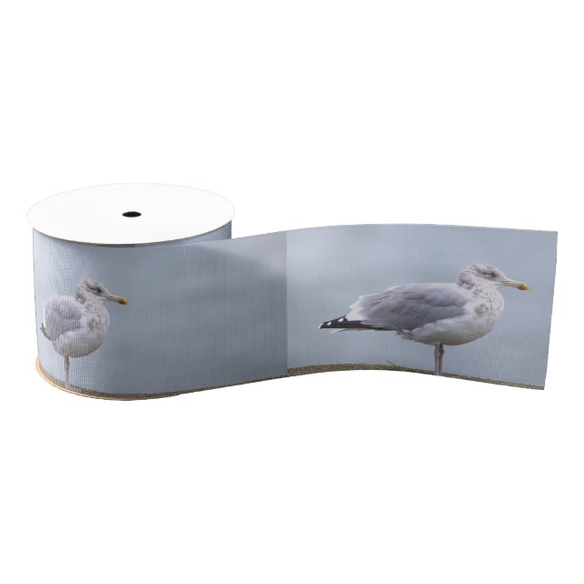 Seagull Photo Ribbon Ripsband (Spule)