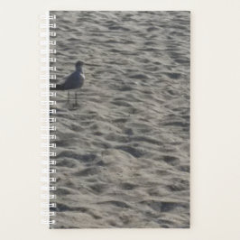 Seagull Planner Planer