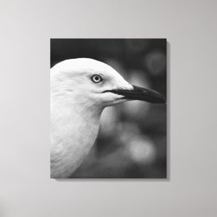 Seagull-Portrait Leinwanddruck