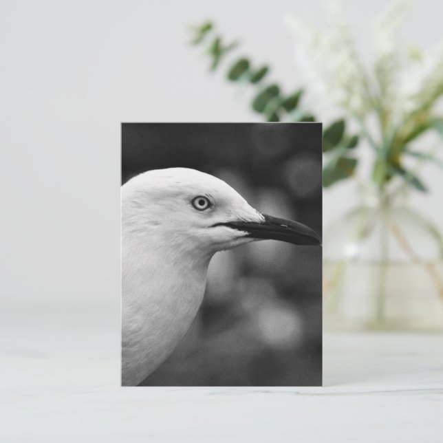 Seagull-Portrait Postkarte (Stehend Vorderseite)