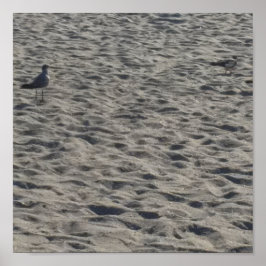 Seagull Poster