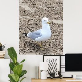 Seagull Poster