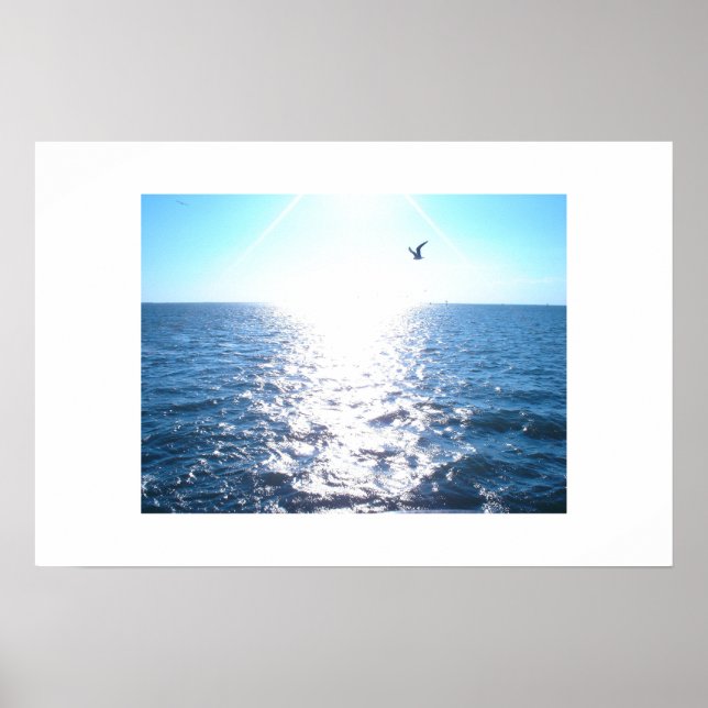 Seagull Poster (Vorne)