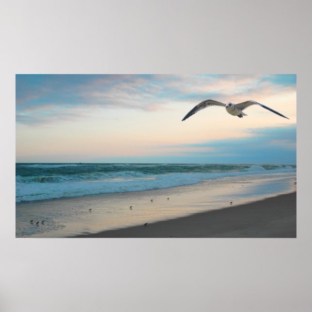 Seagull Poster (Vorne)