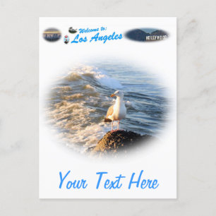 Seagull Postkarte