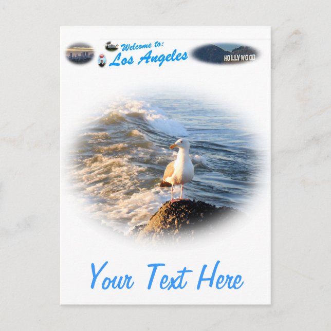 Seagull Postkarte (Vorderseite)