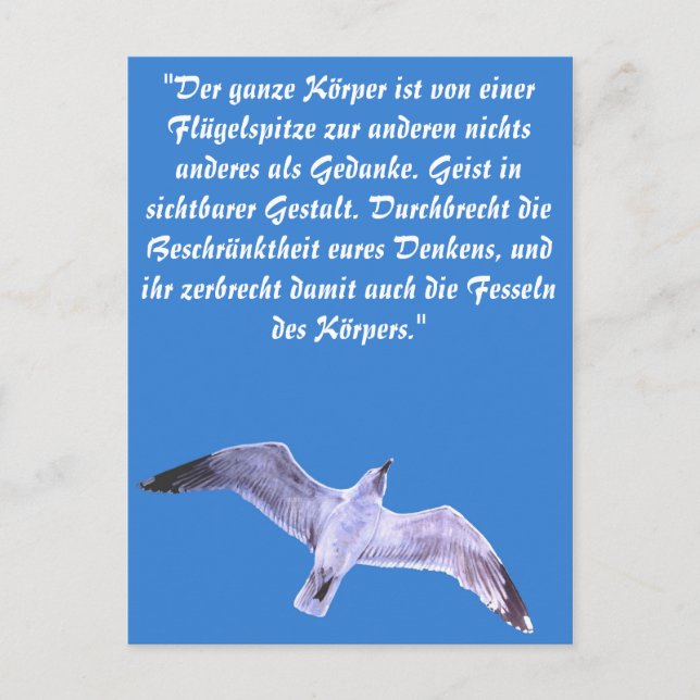 Seagull Postkarte (Vorderseite)