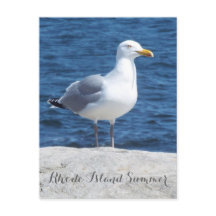 Seagull-Postkarte