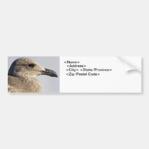 Seagull-Profil Autoaufkleber