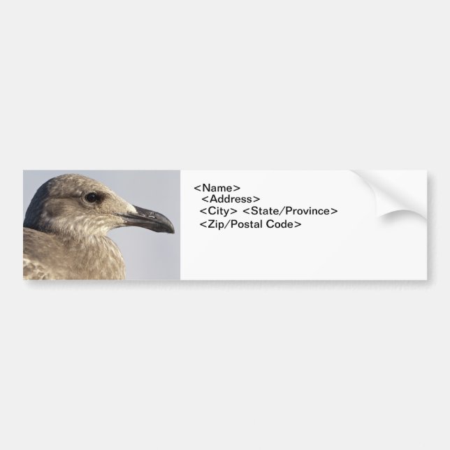 Seagull-Profil Autoaufkleber (Vorne)