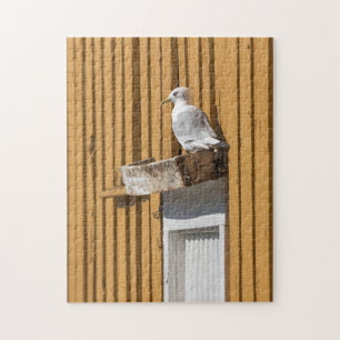 Seagull Puzzle