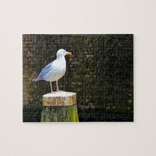 Seagull Puzzle (Horizontal)