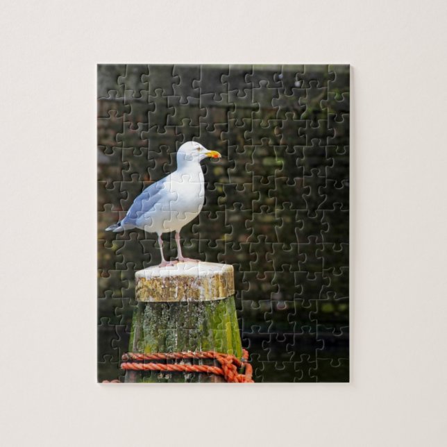 Seagull Puzzle (Vertikal)